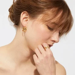 Destinee hoop earrings gold