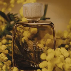 Eau de Parfum Sea Mimosa 100 ml